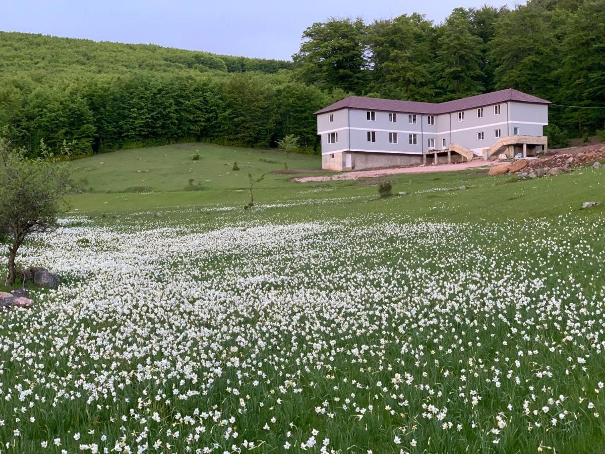 Hotel Bujtina Shehu Kukes Zewnętrze zdjęcie